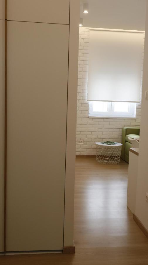 Apartment Ana, Vracar, Belgrád Kültér fotó