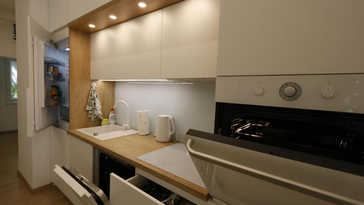 Apartment Ana, Vracar, Belgrád Kültér fotó