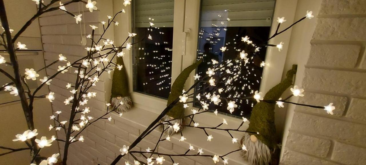 Apartment Ana, Vracar, Belgrád Kültér fotó
